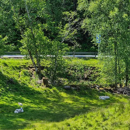 4 Bedroom Stunning In Holiday home Eikelandsosen